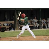 Vermont Mountaineers' Evan Fox at bat