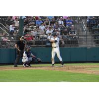 Tri-City Dust Devils at bat