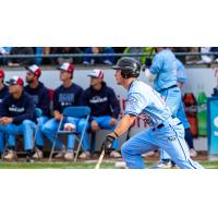 Victoria HarbourCats' Nick Dumesnil