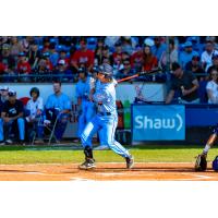 Victoria HarbourCats' Hudson Shupe at bat