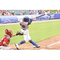 Syracuse Mets' Nick Meyer at bat