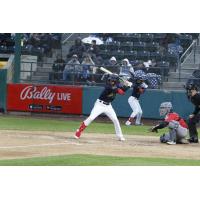 Tri-City Dust Devils at bat