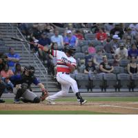 Fayetteville Woodpeckers at bat