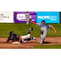 Victoria HarbourCats' Nick Dumesnil on game day