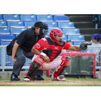 Ottawa Titans catcher Sicnarf Loopstok