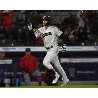 Somerset Patriots third baseman Tyler Hardman