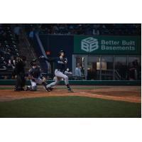 Somerset Patriots' T.J. Rumfield at bat