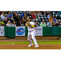 Charleston RiverDogs' Ryan Spikes in action