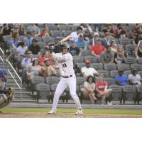 Fayetteville Woodpeckers' Tyler Whitaker at bat