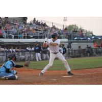 Fond du Lac Dock Spiders at bat