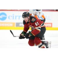 Tucson Roadrunners forward Reece Vitelli