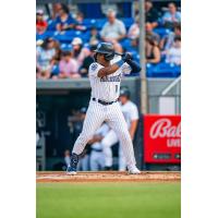 Hudson Valley Renegades outfielder Christopher Familia