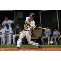 Vermont Mountaineers' Marshall Toole at bat