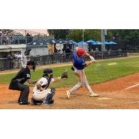 Green Bay Rockers' Blake Wilson at bat