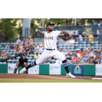 Charleston RiverDogs' Yoniel Curet on the mound