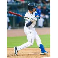 Columbia Fireflies' Omar Hernandez at bat