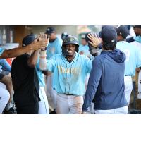 Charleston RiverDogs' Xavier Isaac celebrates win