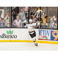 Wheeling Nailers forward Matthew Quercia