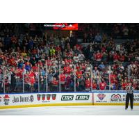 Rockford IceHogs fans cheer on their team