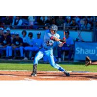 Victoria HarbourCats' Hudson Shupe at bat