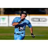 Victoria HarbourCats' Dallas Macias in action