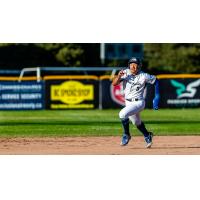 Victoria HarbourCats' Jesse Brown on game day