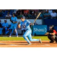 Victoria HarbourCats' Tyler Davis at bat