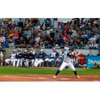 Victoria HarbourCats at bat