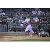 Fayetteville Woodpeckers stroke a hit