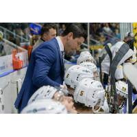 Sarnia Sting Associate Head Coach Brad Staubitz