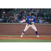 Evansville Otters at bat