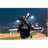 Somerset Patriots' Jeisson Rosario at bat