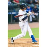 Columbia Fireflies' Omar Hernandez at bat