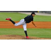 Carolina Mudcats' Chase Costello on the mound