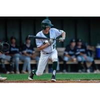 Vermont Mountaineers' Tyler Cox at bat