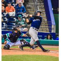 Somerset Patriots' Ben Rice at bat