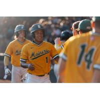 Sanford Mainers' Matt Polk on game night