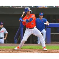 Luke Ritter of the Syracuse Mets