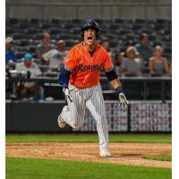 Somerset Patriots' Mickey Gasper on game night