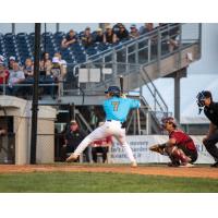 Fond du Lac Dock Spiders' Jake Surane at bat