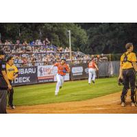 St. Cloud Rox' Anthony Mata in action