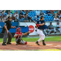 Victoria HarbourCats' Hudson Shupe at bat