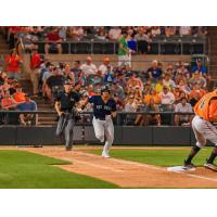 Somerset Patriots' Jasson Dominguez in action