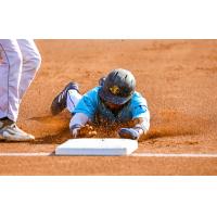 Charleston RiverDogs slide in safely