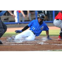 Biloxi Shuckers' Jackson Chourio in action