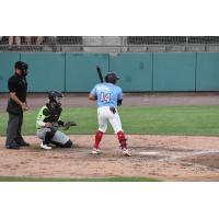 Tri-City Dust Devils' Gustavo Campero at bat