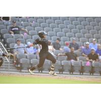 Fayetteville Woodpeckers at bat