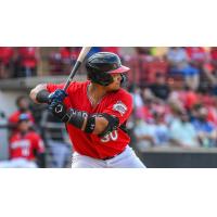 Carolina Mudcats infielder Jesus Chirinos