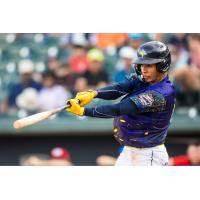 Columbia Fireflies' Lizandro Rodriguez at bat