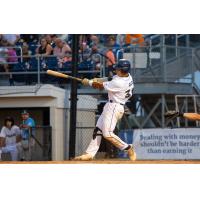 Fond du Lac Dock Spiders' Lorenzo Rios at bat